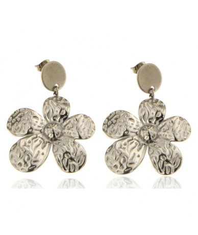 Orecchini in acciaio inox...